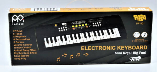 Portable Electronic Piano Keyboard for Kids with Microphone and USB Charging | Musical Piano for Kids - Image 6